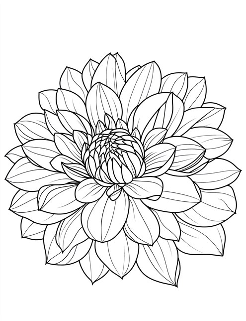 A detailed drawing of a big flower with many layers of petals