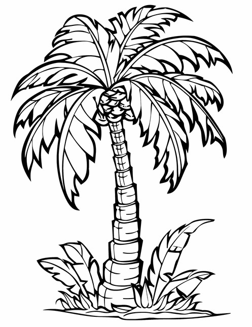 A tall palm tree with big, spiky leaves and some leafy plants at the bottom