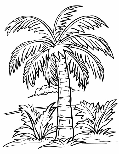 A tall palm tree with big leaves, surrounded by bushes, near the beach with clouds